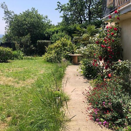 Le Jardin Suspendu Apartment Rillieux-la-Pape Exterior photo