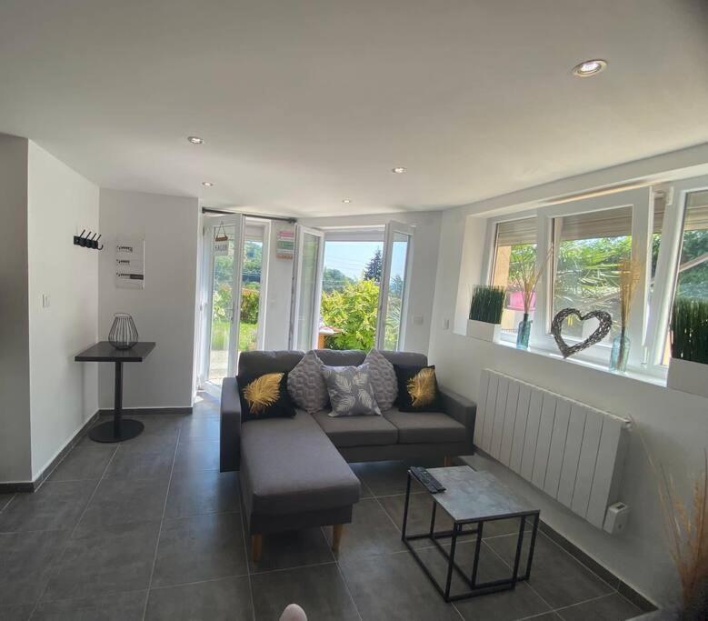 Le Jardin Suspendu Apartment Rillieux-la-Pape Exterior photo