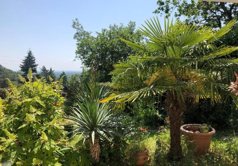 Le Jardin Suspendu Apartment Rillieux-la-Pape Exterior photo